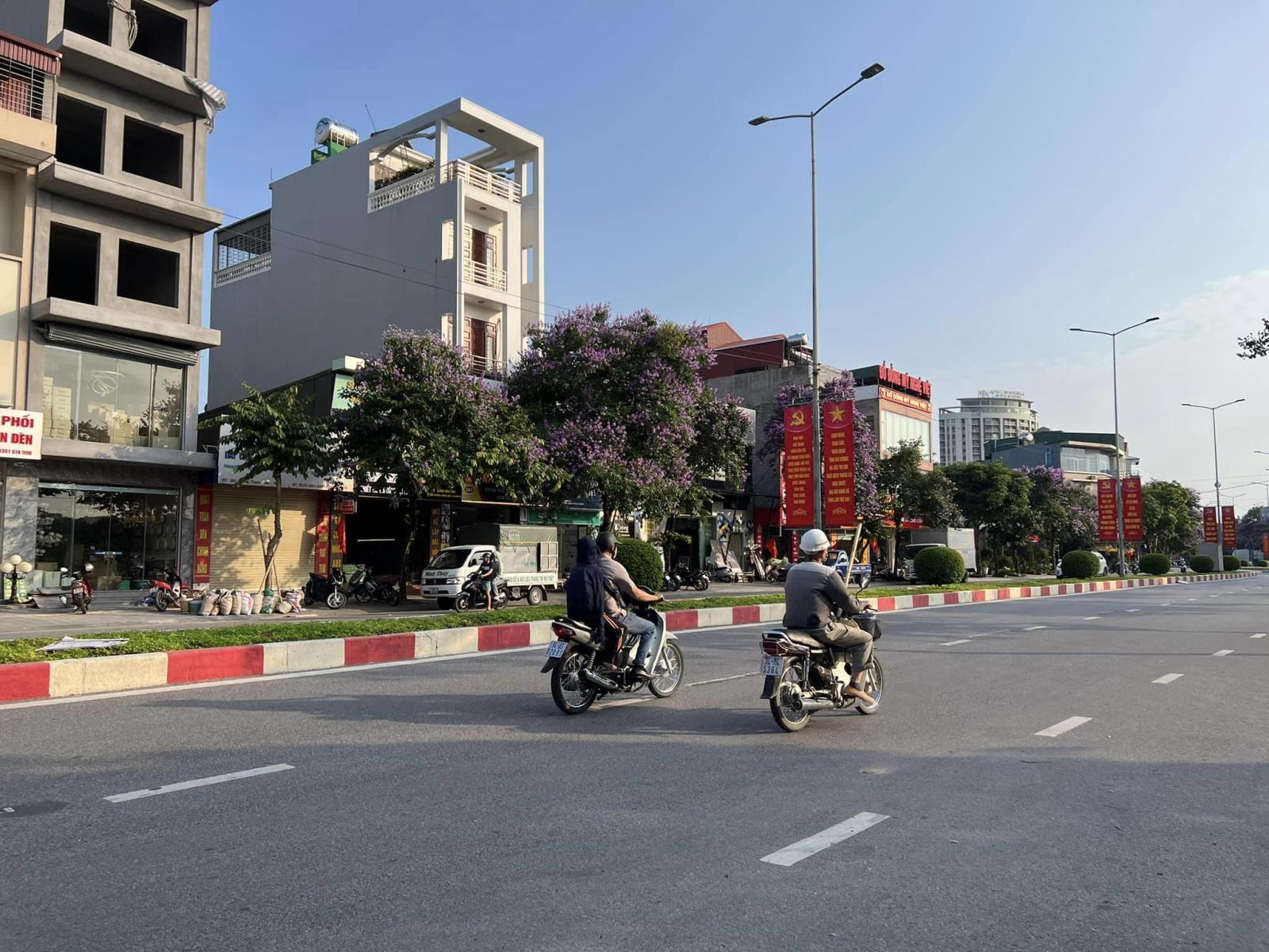 Bán nhà 2 tầng mặt đường Thanh Niên, ph Hải Tân, TP HD, 80.1m2, mt 4.5m, vị trí KD tốt 16017495