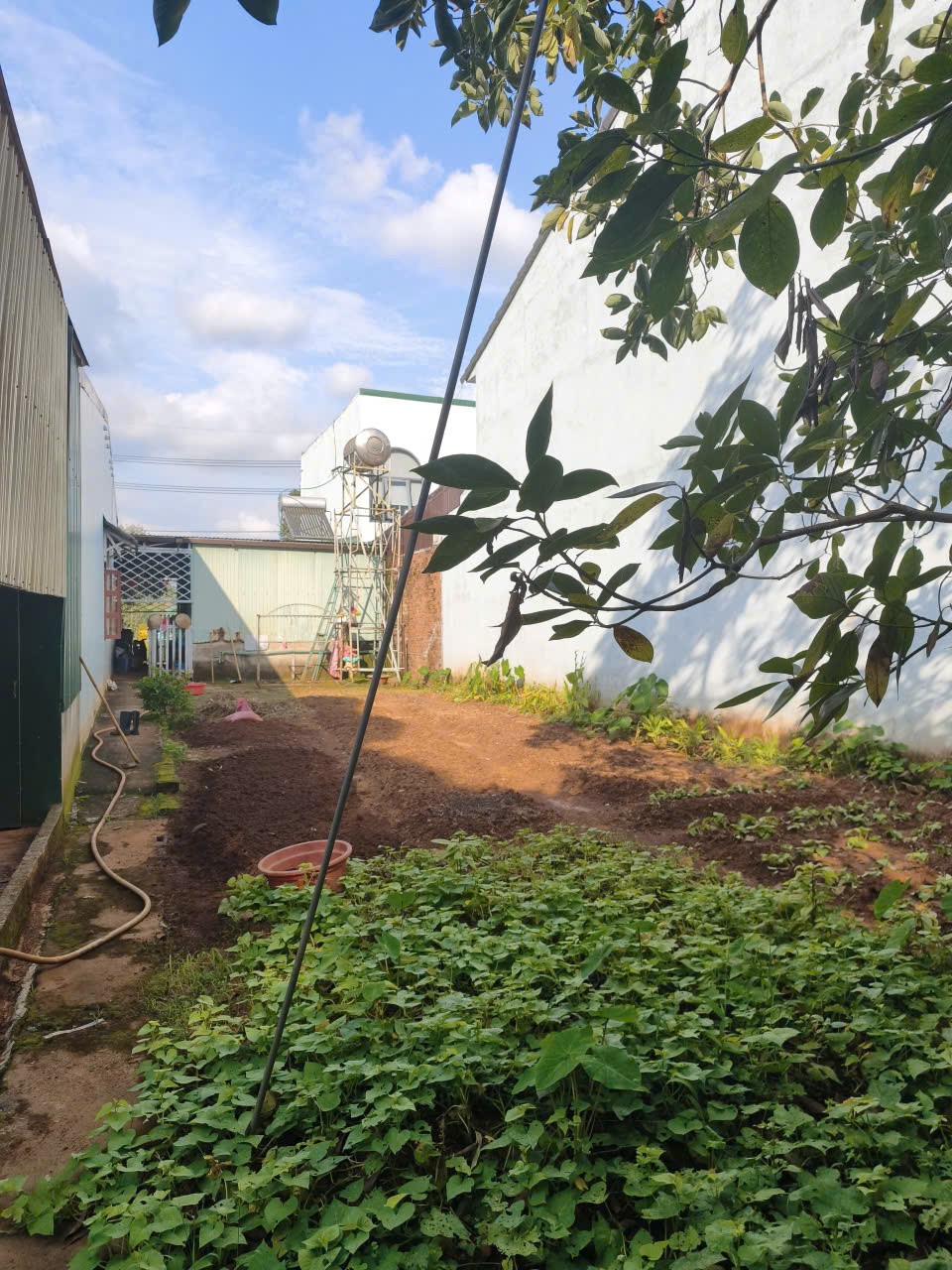 ĐẤT ĐẸP – GIÁ TỐT - CẦN BÁN NHÀ MẶT TIỀN 300 M² Đ. NGUYỄN THÁI HỌC, PHƯỜNG ĐÔNG GIA NGHĨA, Đak Nông 16017567