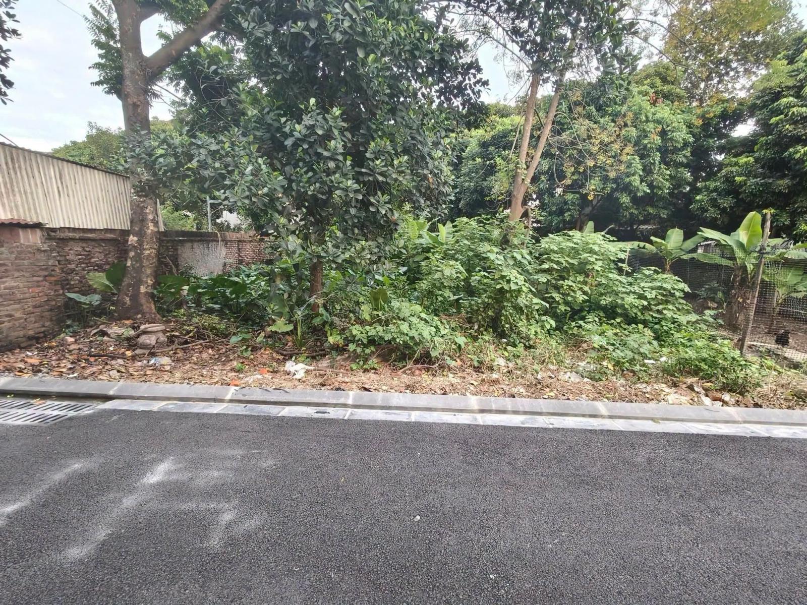 RẤT RẺ, DÀNH CHO AI TÌM 165m2, mt7m, 7.25 tỷ, Nguyên Khê, Đông Anh, Hà Nội, ô tô. 16017775