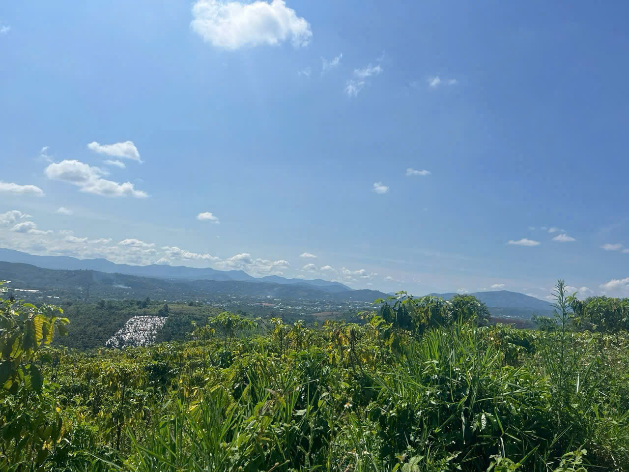 CƠ HỘI SỞ HỮU 4.518M² ĐẤT ĐẸP – Xã Lộc Thành (cũ) Huyện Bảo Lộc, Lâm Đồng – GIÁ 900 TRIỆU/SÀO 16017925