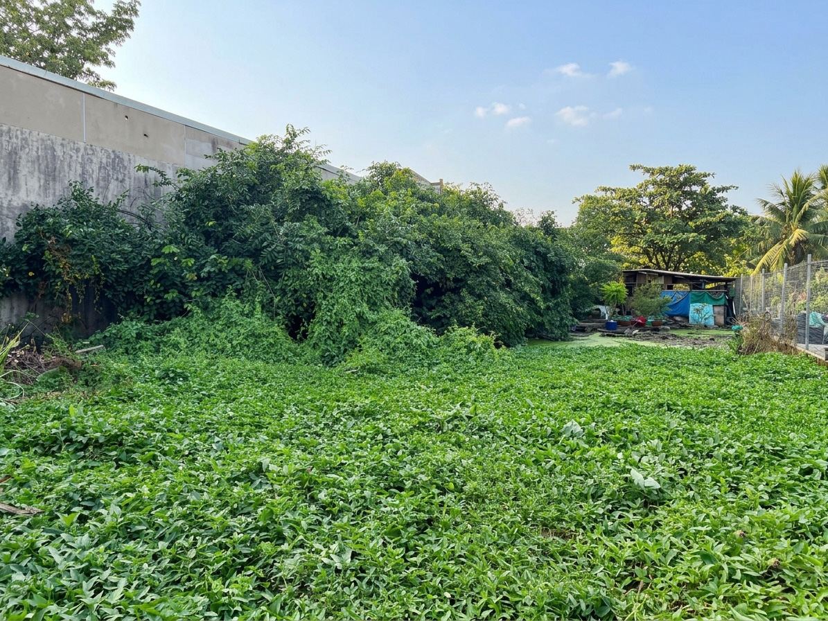 [D3127*] Giảm mạnh 3 tỷ, đất vuông A4 656m2 (15x44m) sát Chợ Nông Sản QL1A, 3x tỷ 16018041