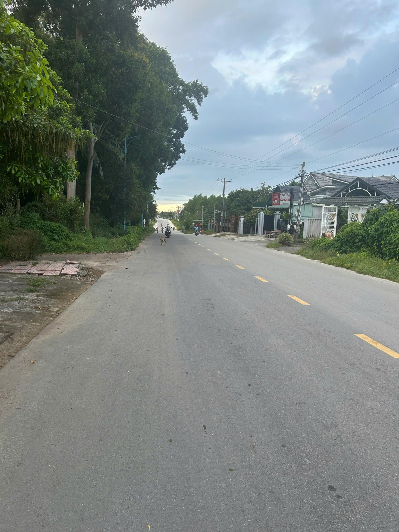 Bán gấp 5m x 55m đất thổ cư đường Lý Nam Đế - Phước Hội - LaGi giá rẻ 1.6 tỷ 16018077