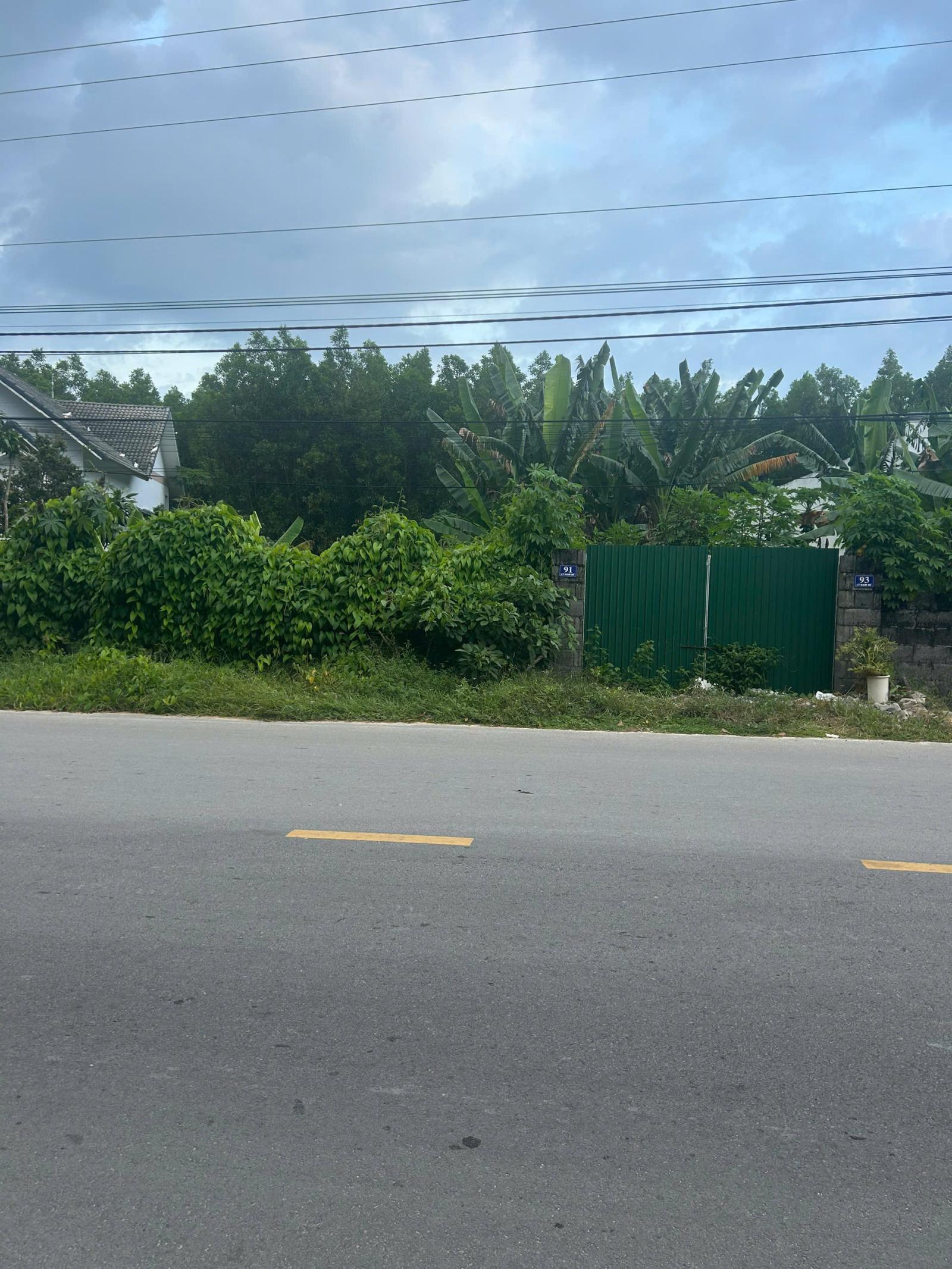 Bán gấp 5m x 55m đất thổ cư đường Lý Nam Đế - Phước Hội - LaGi giá rẻ 1.6 tỷ 16018077