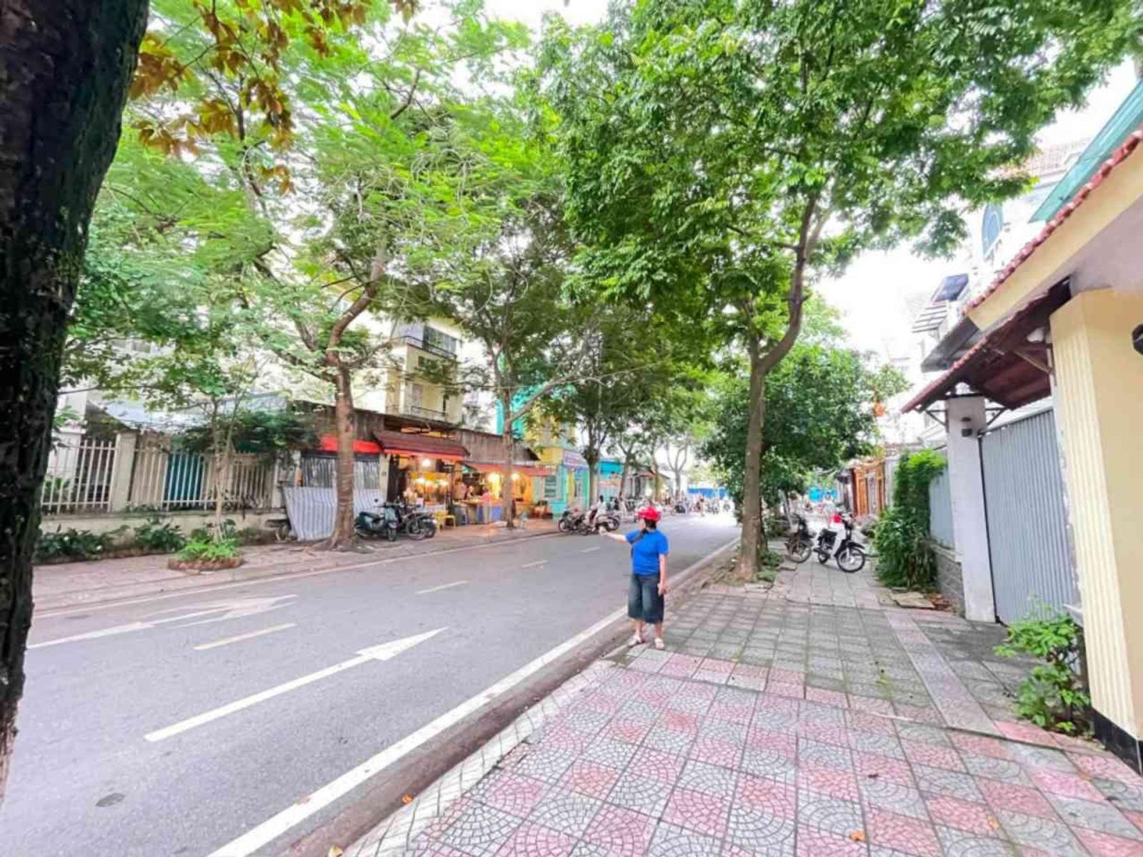 Biệt Thự Đặng Xá 33 tỷ 176m hai mặt tiền,Gia Lâm 16018149