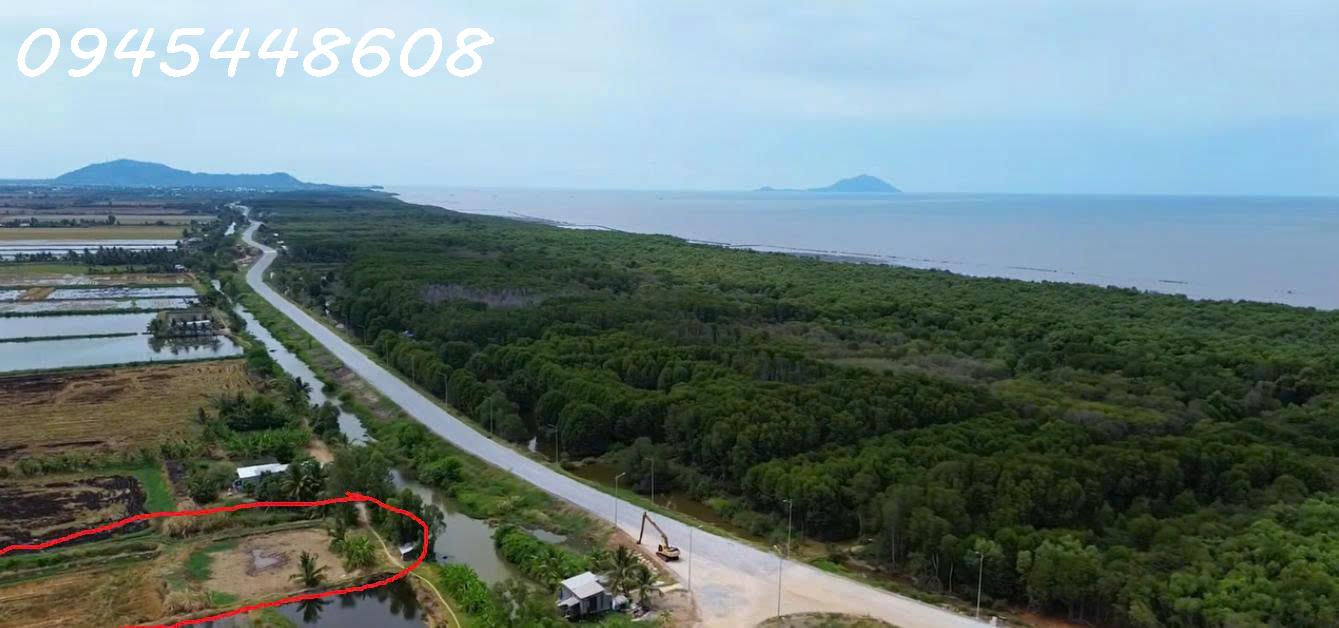 Bán 11 công đất mặt tiền đê quốc phòng, xã Hòn Đất, tỉnh An Giang 16018339