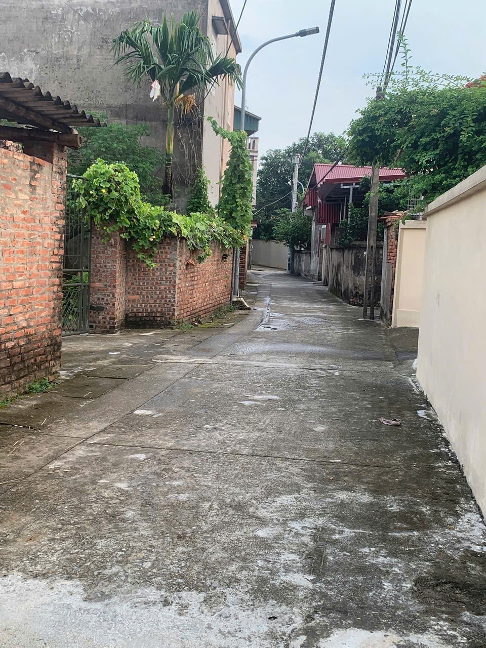ĐẤT ĐẸP- GIÁ TỐT BÁN NHANH 2 LÔ ĐẤT ĐẦU TƯ LÀ SINH LỜI TẠI tỉnh Hưng Yên 16018399