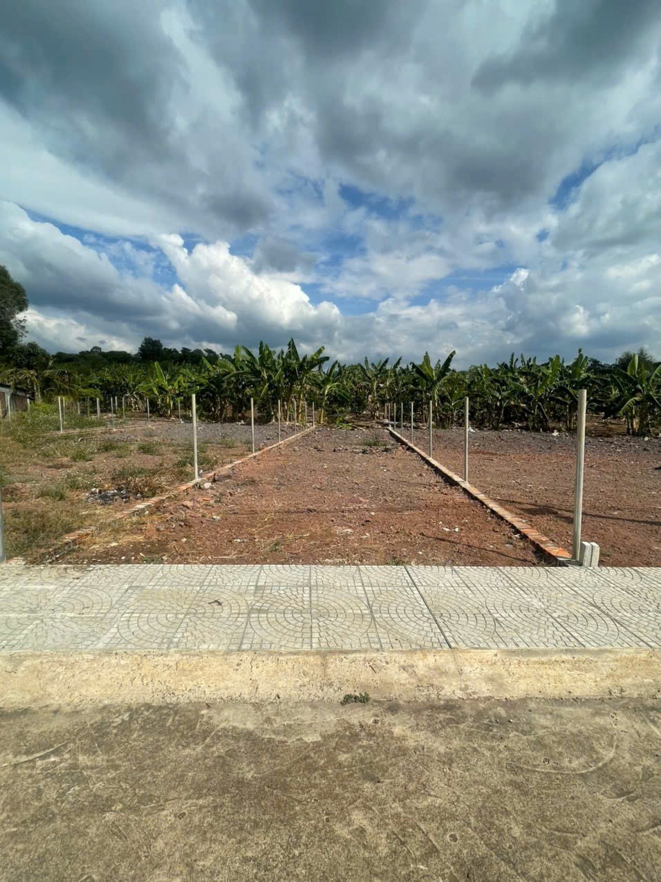BÁN ĐẤT 134.8 m² có 98m² thổ cư, SHR tại phường Dầu Giây (Hưng Lộc cũ) 16018444