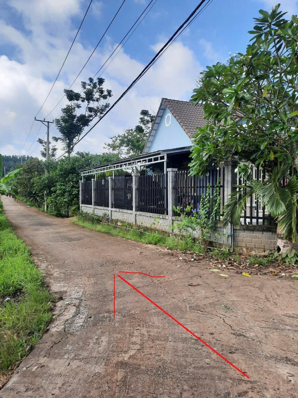 BÁN ĐẤT 134.8 m² có 98m² thổ cư, SHR tại phường Dầu Giây (Hưng Lộc cũ) 16018444