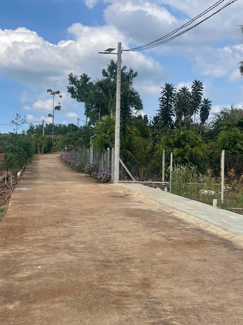 BÁN ĐẤT 134.8 m² có 98m² thổ cư, SHR tại phường Dầu Giây (Hưng Lộc cũ) 16018444