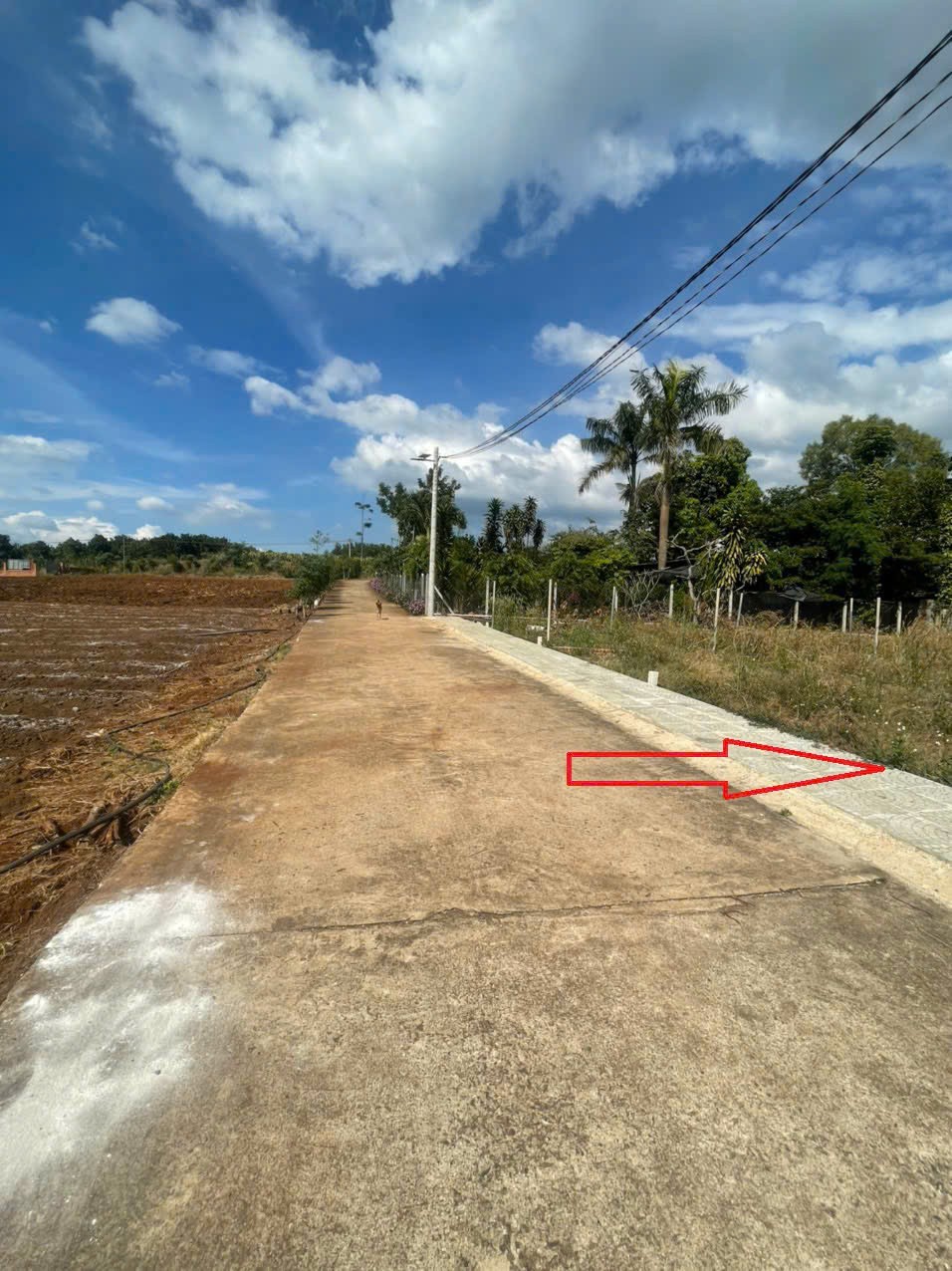 BÁN ĐẤT 134.8 m² có 98m² thổ cư, SHR tại phường Dầu Giây (Hưng Lộc cũ) 16018444