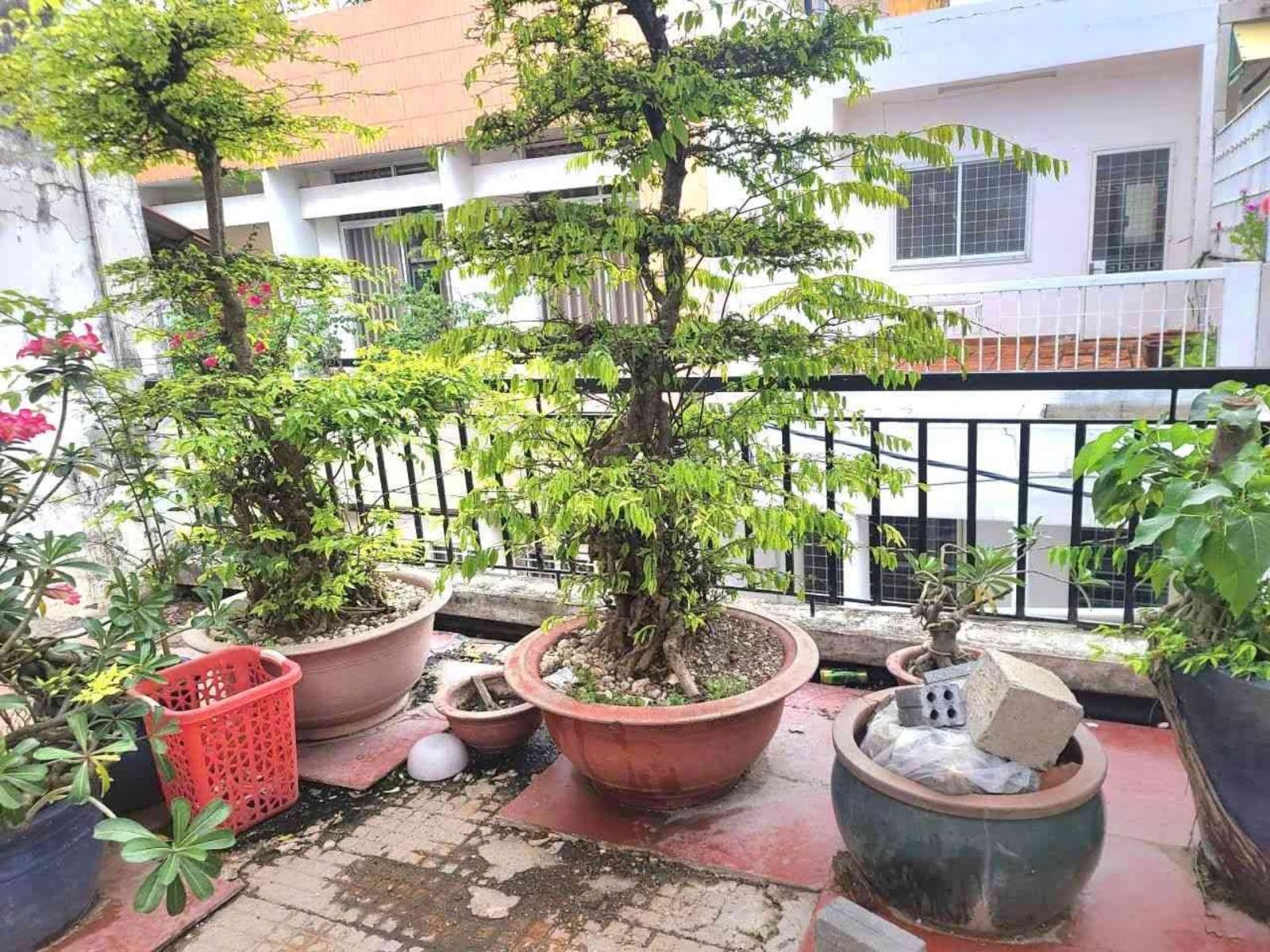 💥 BĐS BÌNH THẠNH THÔNG SỐ VÀNG: 5x13m – HẺM XE HƠI NGUYỄN VĂN ĐẬU – GIẢM GẤP 200 TR 💥 16018539