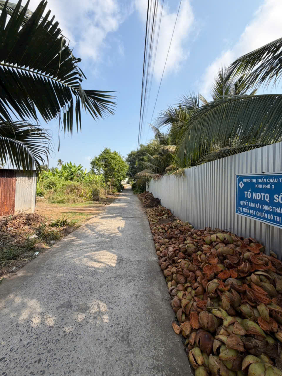 VỊ TRÍ ĐẸP - GIÁ TỐT - Chính Chủ Bán 7 Công Đất Vườn Dừa - Châu Thành Bến Tre 16018541