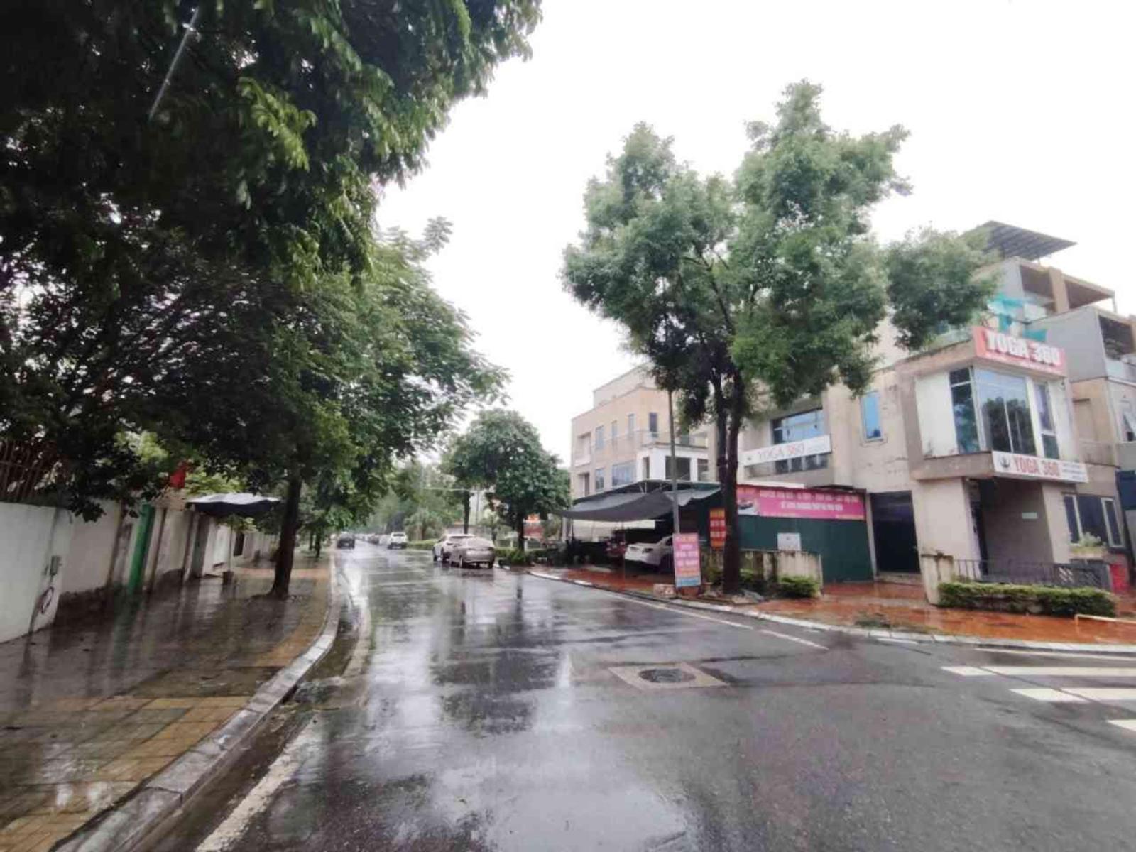 Siêu hiếm Biệt Thự lô góc 33 tỷ 250m Hai mặt tiền Đặng Xá Gia Lâm 16018564