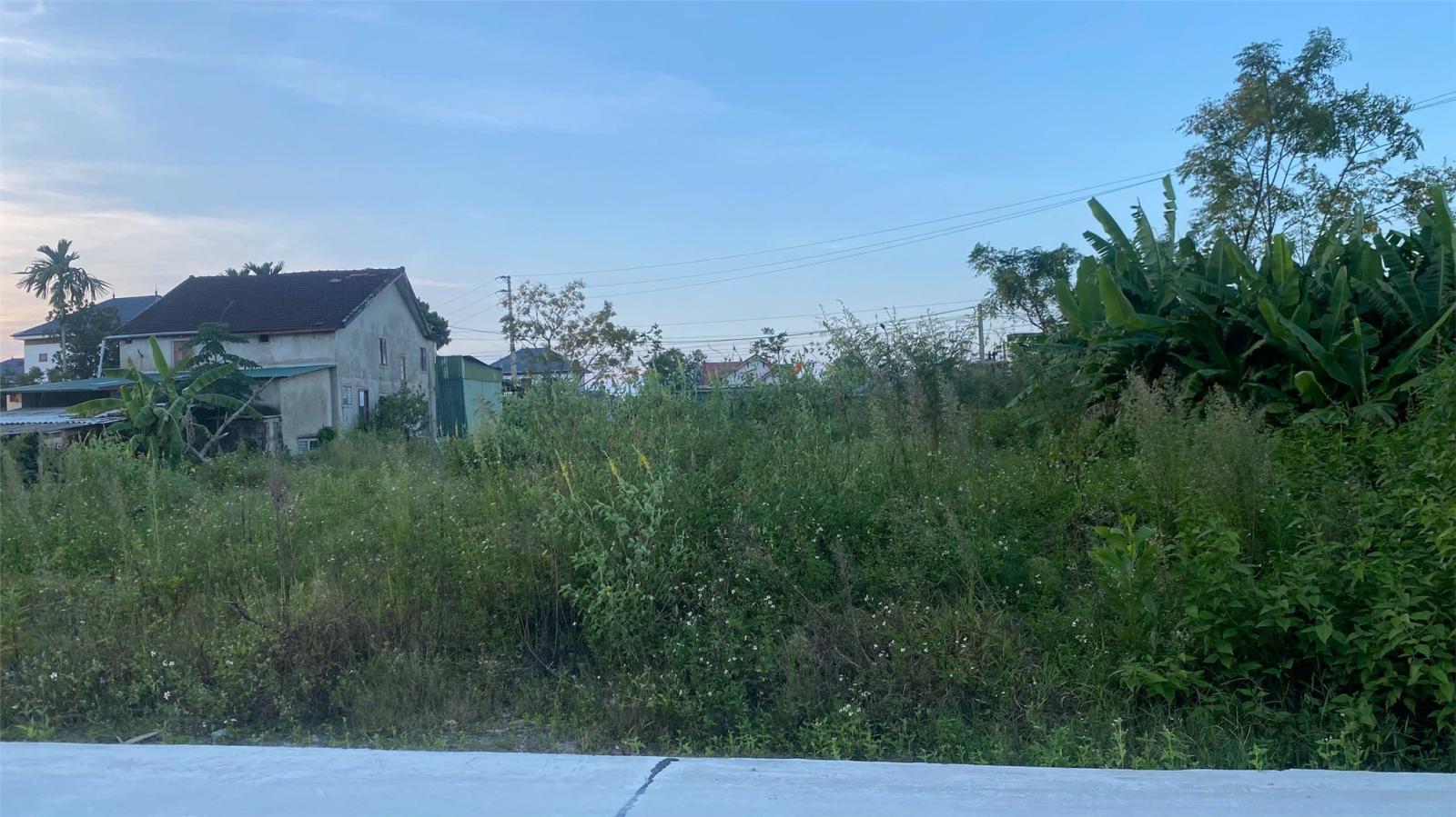 ĐẦU TƯ SINH LỜI – CẦN BÁN LÔ ĐẤT 273,6M², Thôn Bắc Tiến, X. Việt Xuyên, T. Hà Tĩnh 16018579