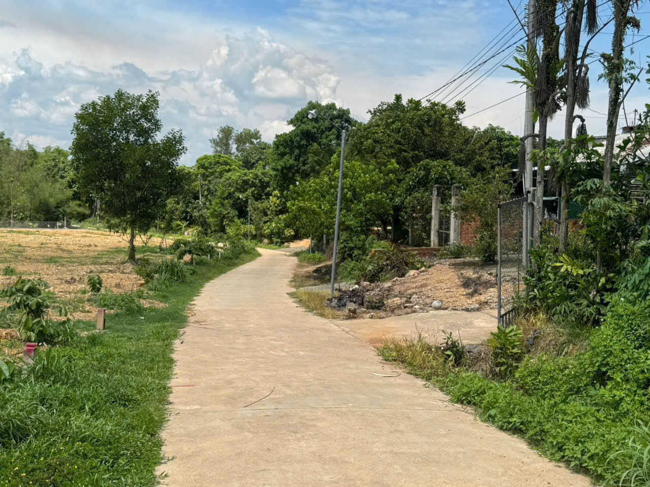 Bán 5 lô đất liền kề Phú Ngọc, Định Quán, 178m2-lô, cách Quốc lộ 20 chỉ 200m, giá 450 triệu 16018846