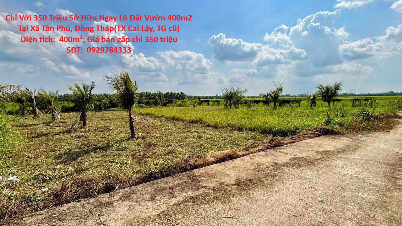 Chỉ Với 350 Triệu Sở Hữu Ngay Lô Đất Vườn 400m2 Tại Xã Tân Phú, Đồng Tháp(TX Cai Lậy, TG cũ) 16018993