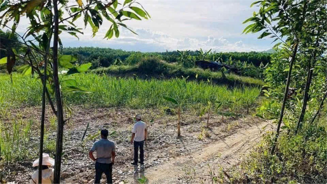 ĐẤT ĐẸP GIÁ TỐT – CẦN BÁN LÔ ĐẤT TẠI Thôn Xuân Nam, Xã Diên Xuân, Diên Khánh, Khánh Hòa 16019000
