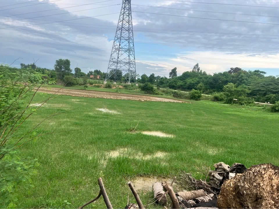 Chính chủ bán 1.317m2 đất 2 mặt tiền Ninh Hòa, cách QL1A 200m, gần nút giao cao tốc, giá 650 triệu 16019006