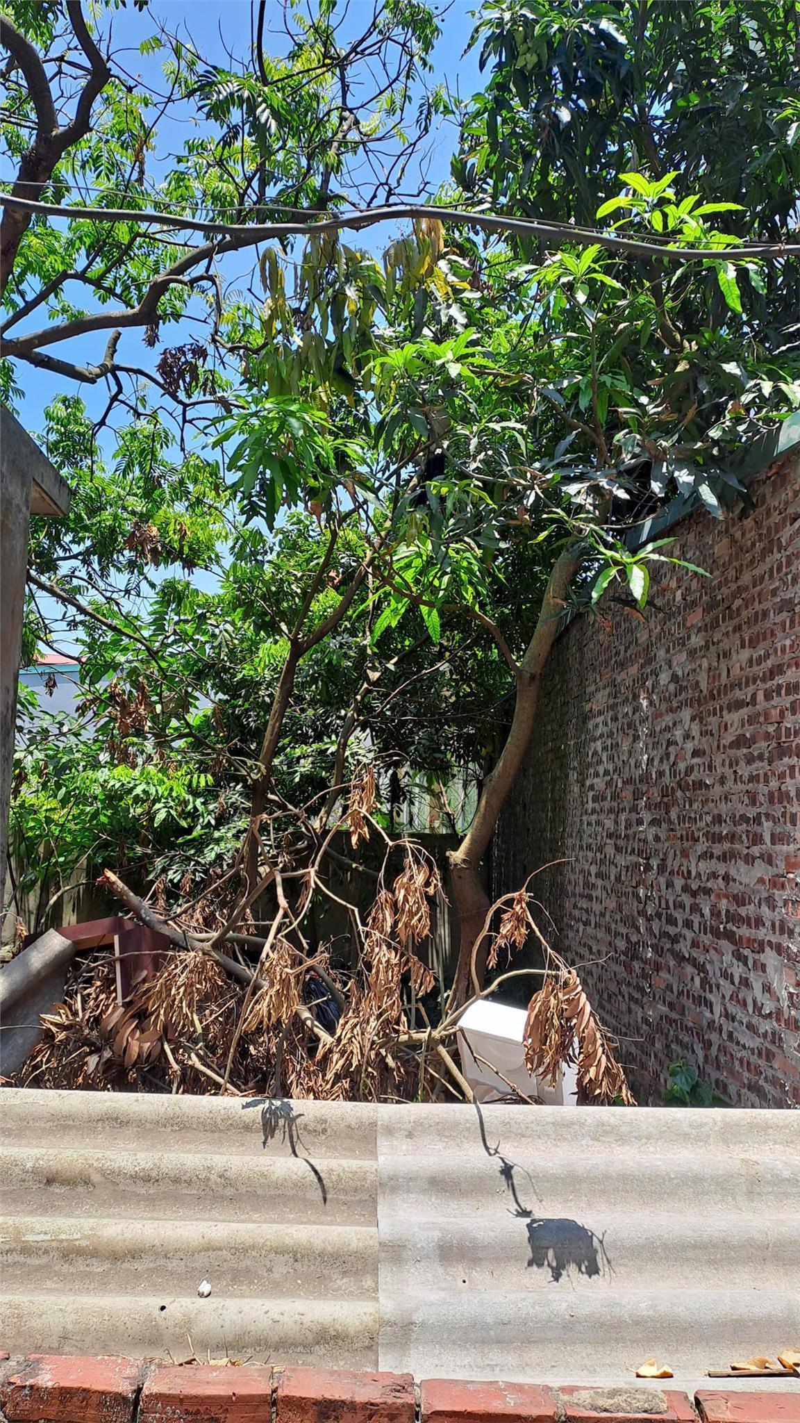 Bán đất Đại Áng 30m², ô tô vào đất, giá 3,5 tỷ 0844444453 16019174