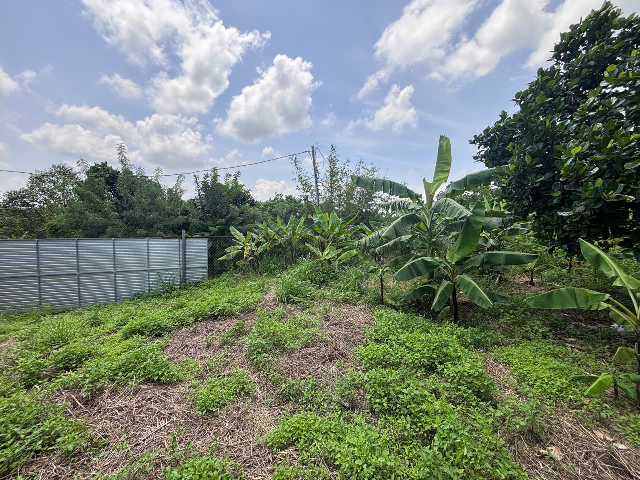🏡 850 TRIỆU – 107,1M² ĐẤT TẠI DẦU GIÂY, ĐƯỜNG NHỰA 10M, CÓ GIẤY CHỨNG NHẬN! 16019226