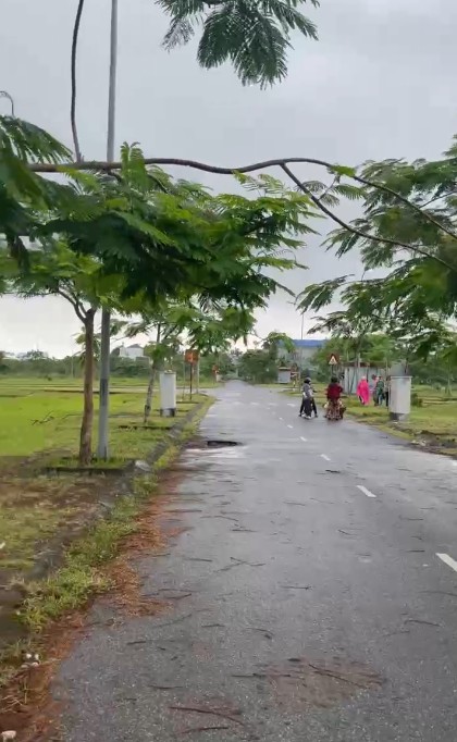 Chính chủ bán đất khu tái định cư An Hải, Hải Phòng - 81m2, ngang 4,5m, vị trí đẹp, giá 3,3 tỷ 16019331