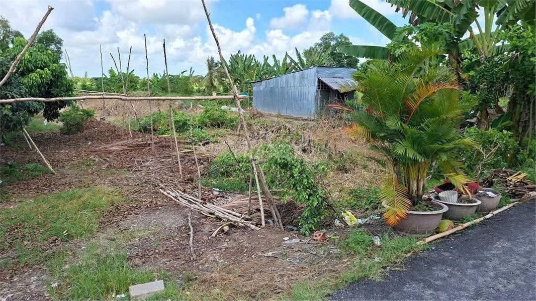 ĐẤT CHÍNH CHỦ - GIÁ TỐT Tại Xã Trường Xuân, H. Thới Lai, Cần Thơ NAY LÀ Xã Trường Xuân, TP Cần Thơ 16019382