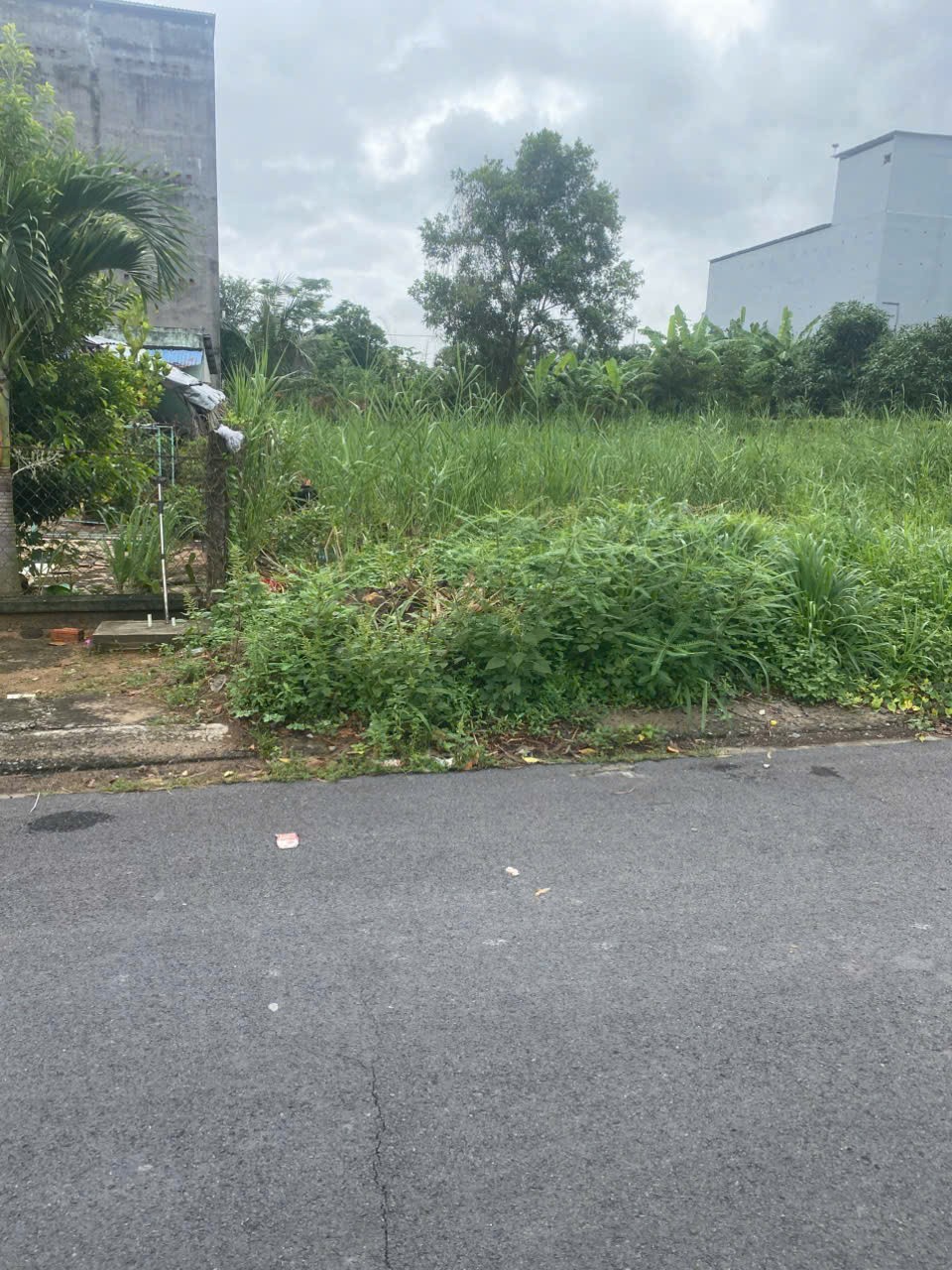 Bán 223 m2 đất ở Tại Cần Giờ, TPHCM Mặt tiền  khu dân cư Tam Thôn Hiệp - Cần Giờ, TPHCM, 16019564