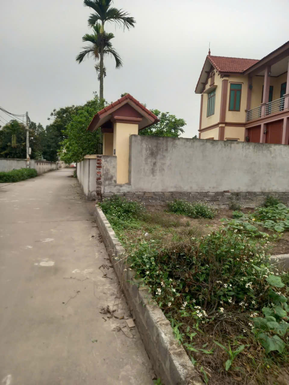 BÁN ĐẤT THỔ CƯ TÂN DÂN – PHÚ XUYÊN  590M²  GIÁ CHỈ 1X TRIỆU/M² 16019635