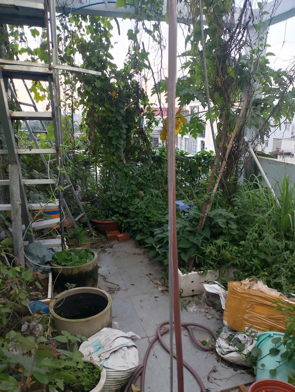 NHÀ ĐẸP – GIÁ TỐT – CẦN BÁN NHÀ 175/3 Đường Hồ Văn Long,  bình hưng hòa B, Bình Tân, TP.HCM 16019997