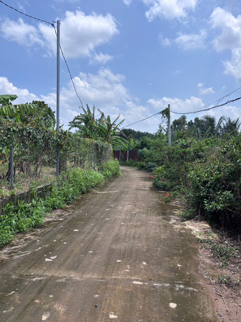 🏡 850 TRIỆU – 107,1M² ĐẤT TẠI DẦU GIÂY, ĐƯỜNG NHỰA 10M, CÓ GIẤY CHỨNG NHẬN! 16020008