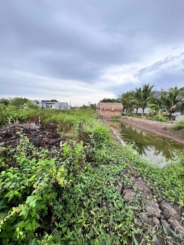 ĐẤT NỀN MẶT TIỀN + KÈM VUÔNG LIỀN KỀ Tại Ấp 2, Thị trấn Cái Đôi Vàm, Huyện Phú Tân, Cà Mau 16020049