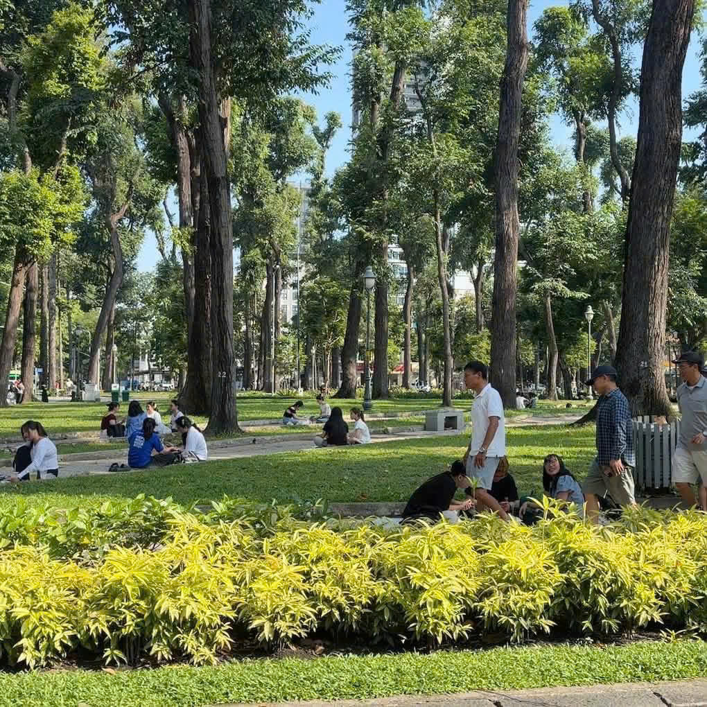 Bán nhà 3 lầu HXH Nguyễn Văn Khối ngang 8m 120m2 gần CV Làng Hoa vài căn ra MT chỉ 15 tỷ 16020412