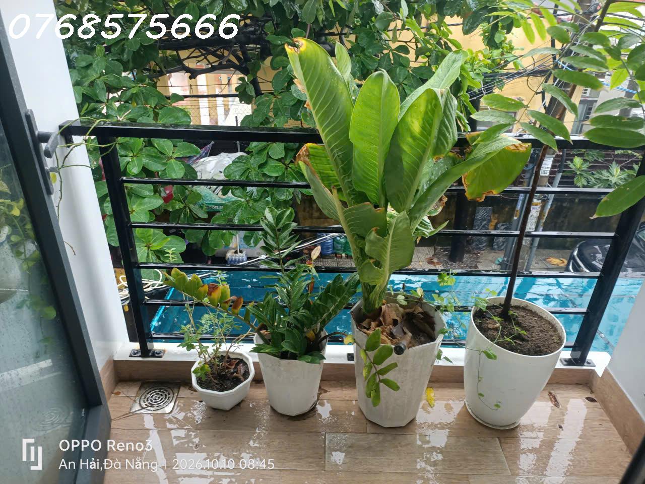 CHO THUÊ PHÒNG MẶT TIỀN TẦNG 2 — SỐ 51 AN TRUNG ĐÔNG 7 16020432