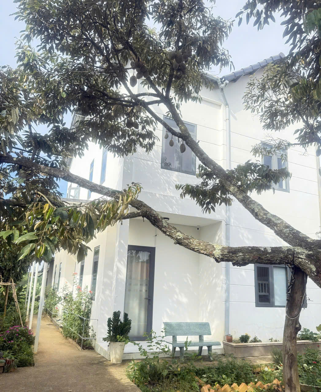 NHÀ VƯỜN SIÊU ĐẸP - Nhà chính chủ tại Ninh Gia, 600M2, thổ cư 150m2, hai tầng lầu. Giá 7,5 tỉ 16020513