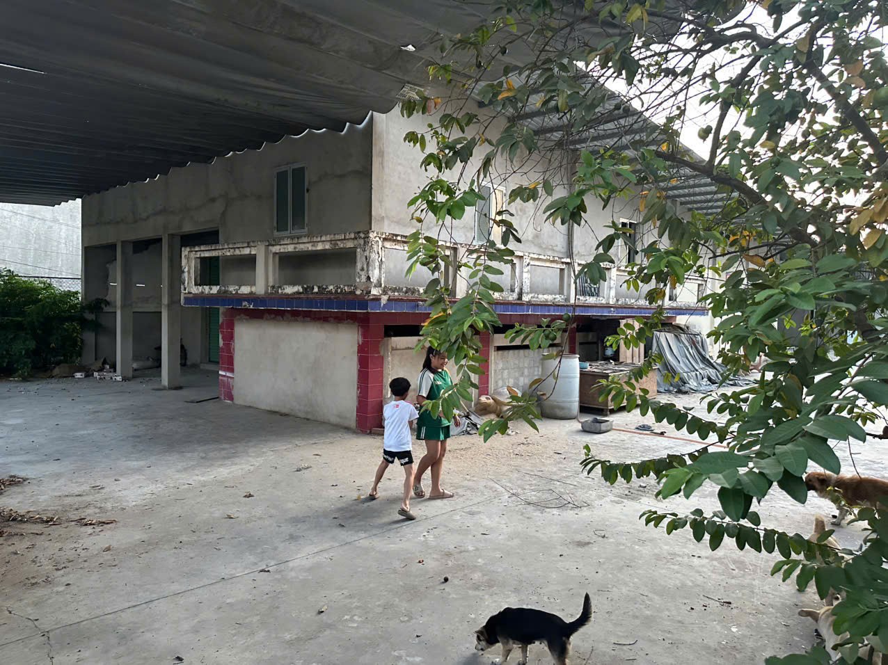 CHO THUÊ NHANH kho chính chủ 800m2 - Liên Ấp 2-6 Vĩnh Lộc A - XE TẢI LỚN TẬN CỬA 16020546