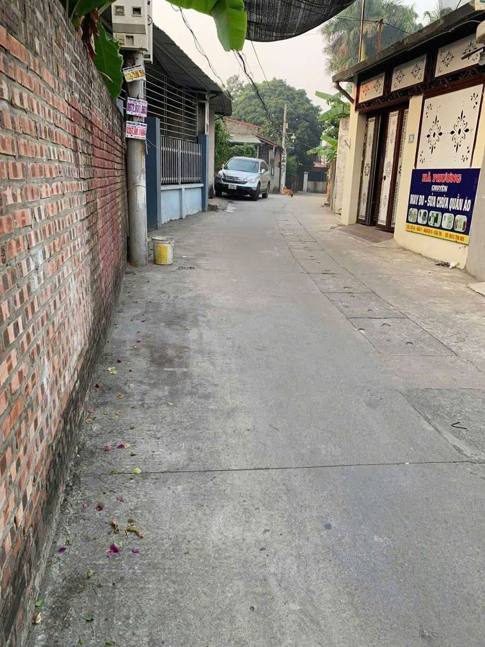 CHÍNH CHỦ CẦN BÁN NHANH ĐẤT Ở LÀNG MỖ , PHƯỜNG SƠN TÂY, HÀ NỘI 16020594