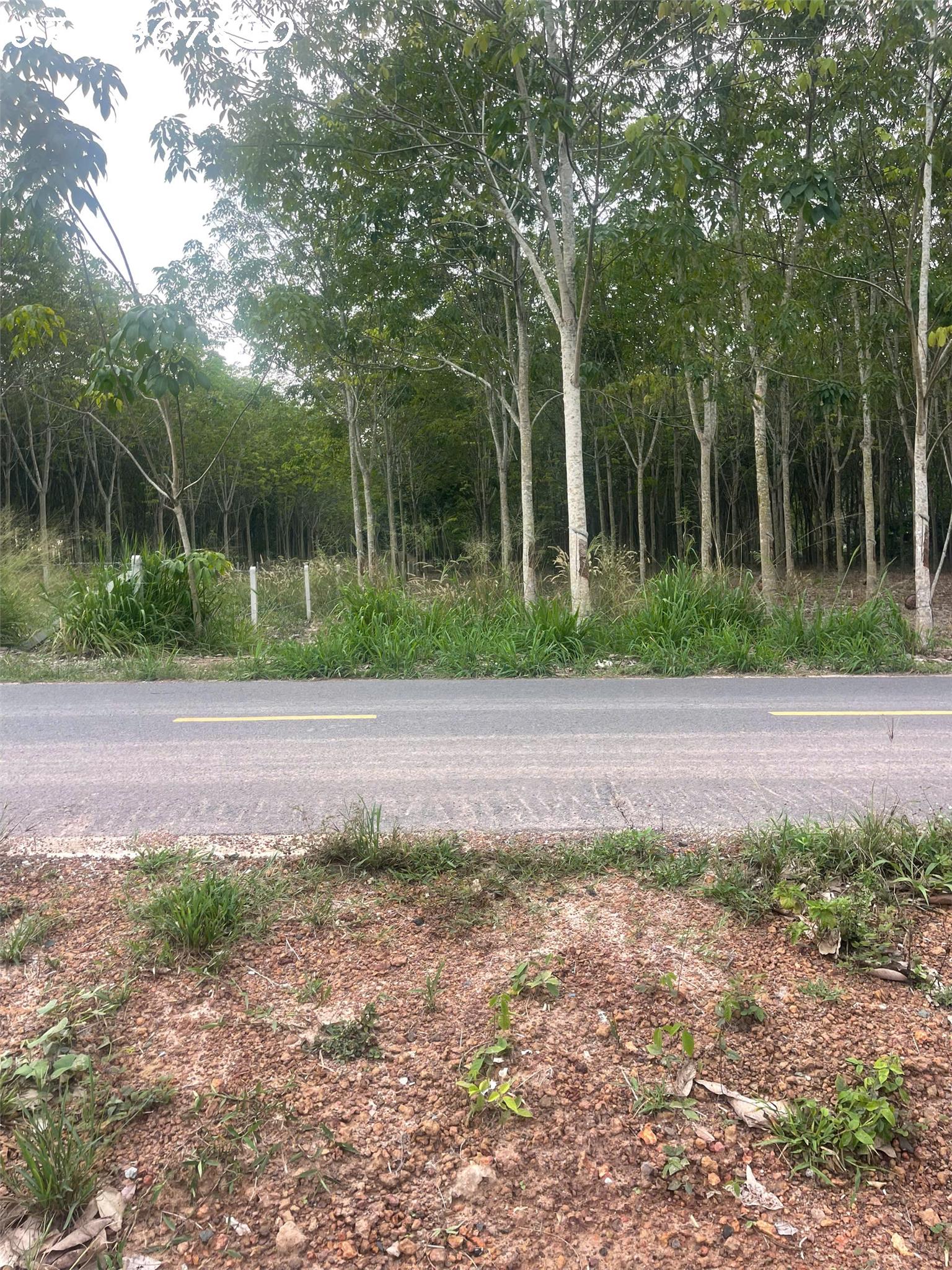 Bán đất tại đường Lò Rèn, Long Hòa, 4 tỷ, 880 m2, giá tốt, view đẹp 16020702