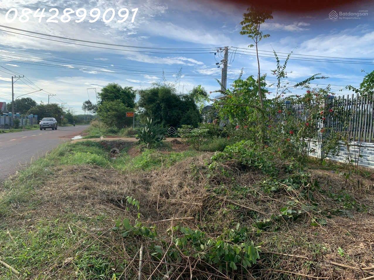 Bán nhà cấp 4 đường Lò Rèn, xã Long Hòa, Dầu Tiếng, 240m2, giá 2,3 tỷ 16020728