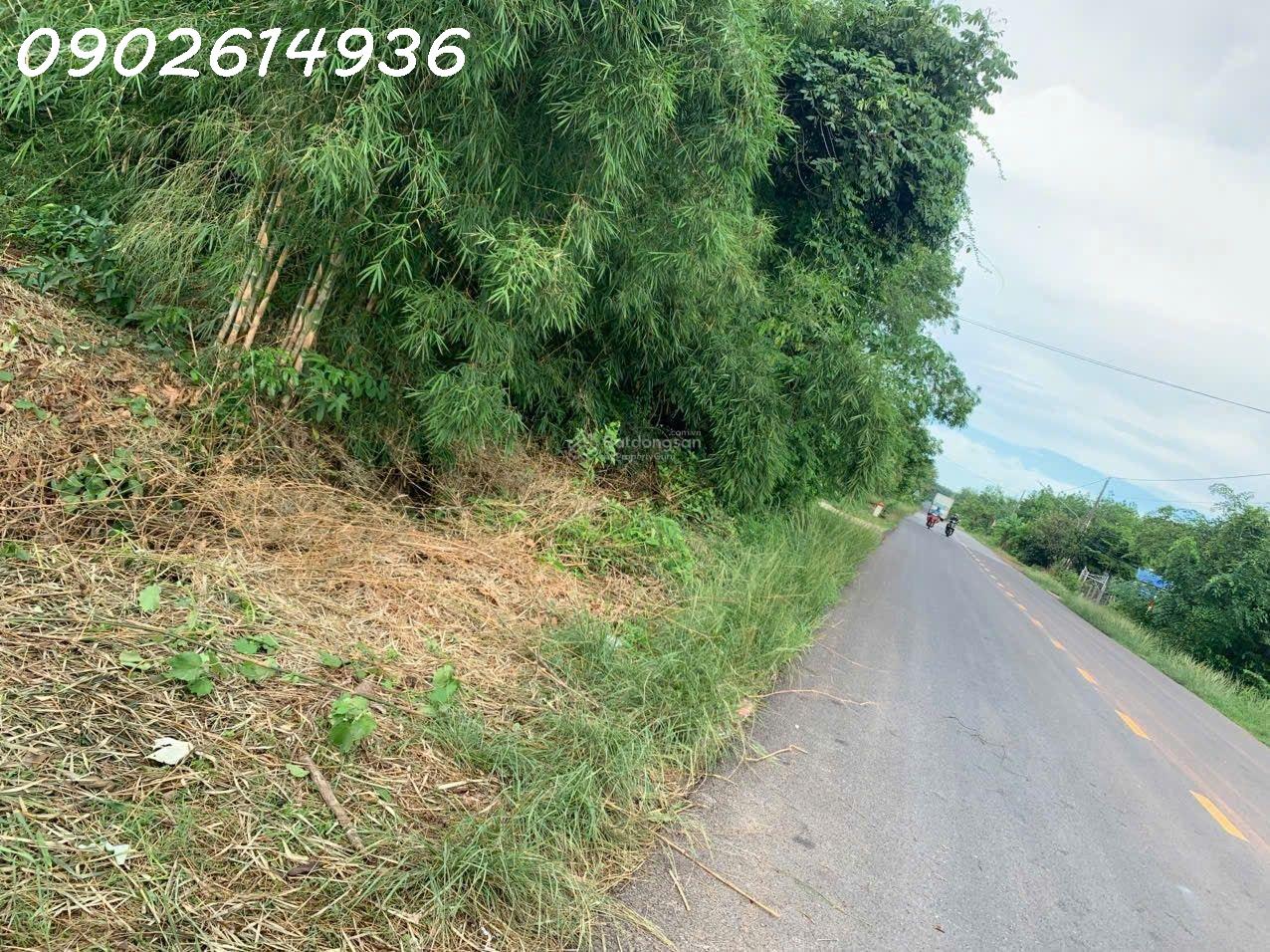 Bán đất đường Lò Rèn, Long Hòa, 24tỷ, 8000m2 view đẹp Hot! 16020736