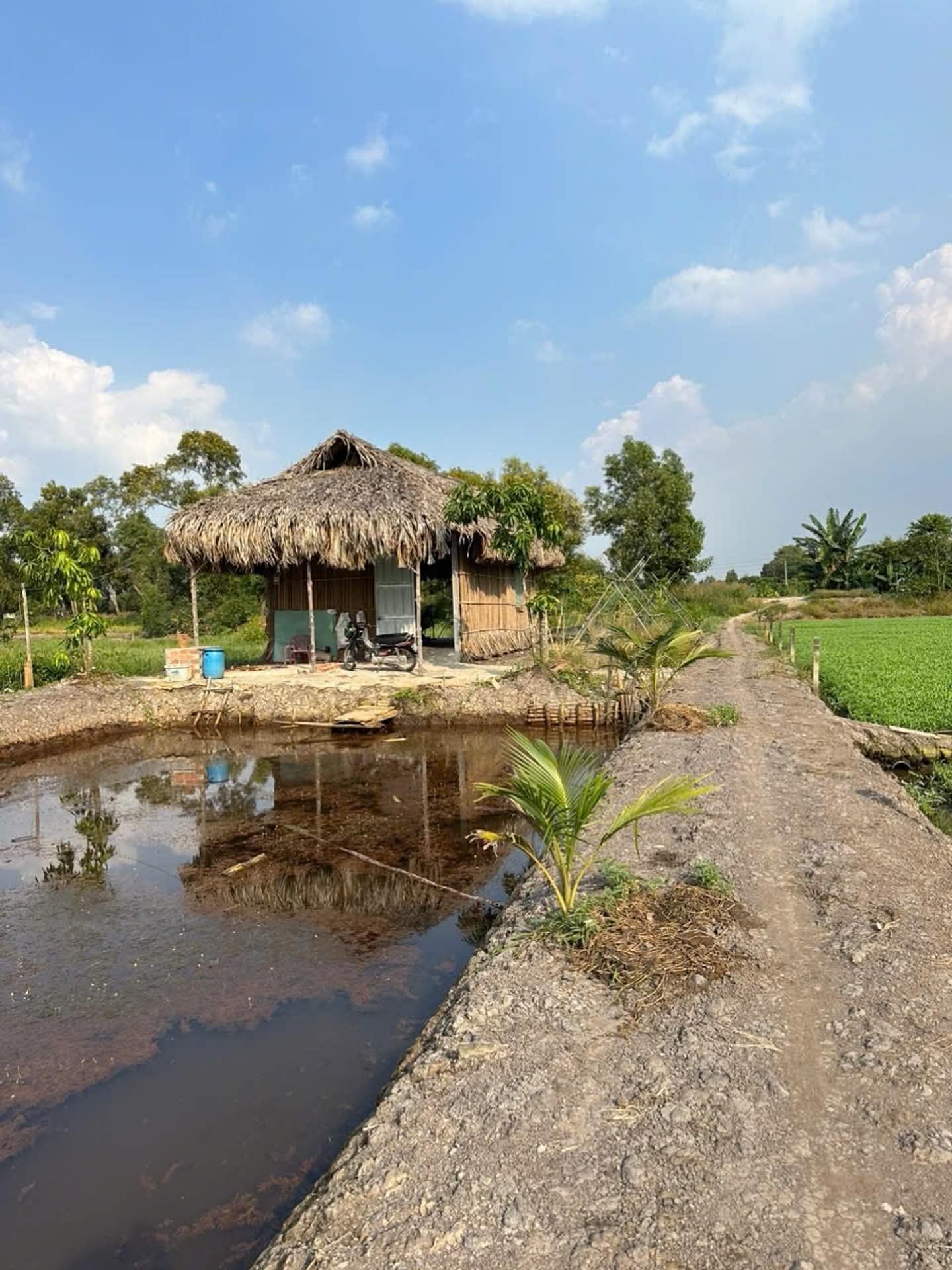 B.á.n đất Hóc Môn, sổ hồng chính chủ, 1583m2, gần chợ, Đại học lao động xã hội…, nhỉnh 5 tỷ 16020743