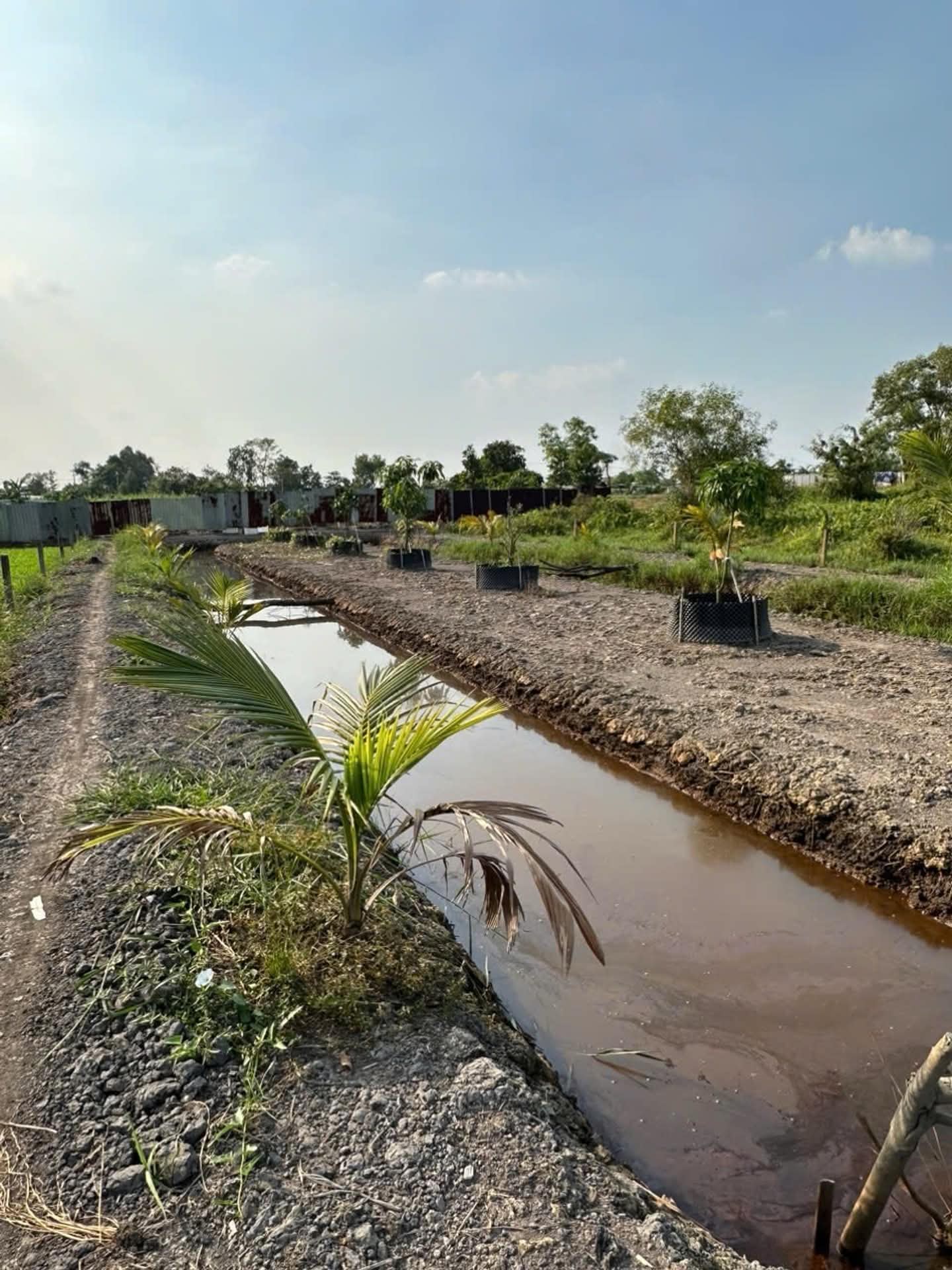 B.á.n đất Hóc Môn, sổ hồng chính chủ, 1583m2, gần chợ, Đại học lao động xã hội…, nhỉnh 5 tỷ 16020743