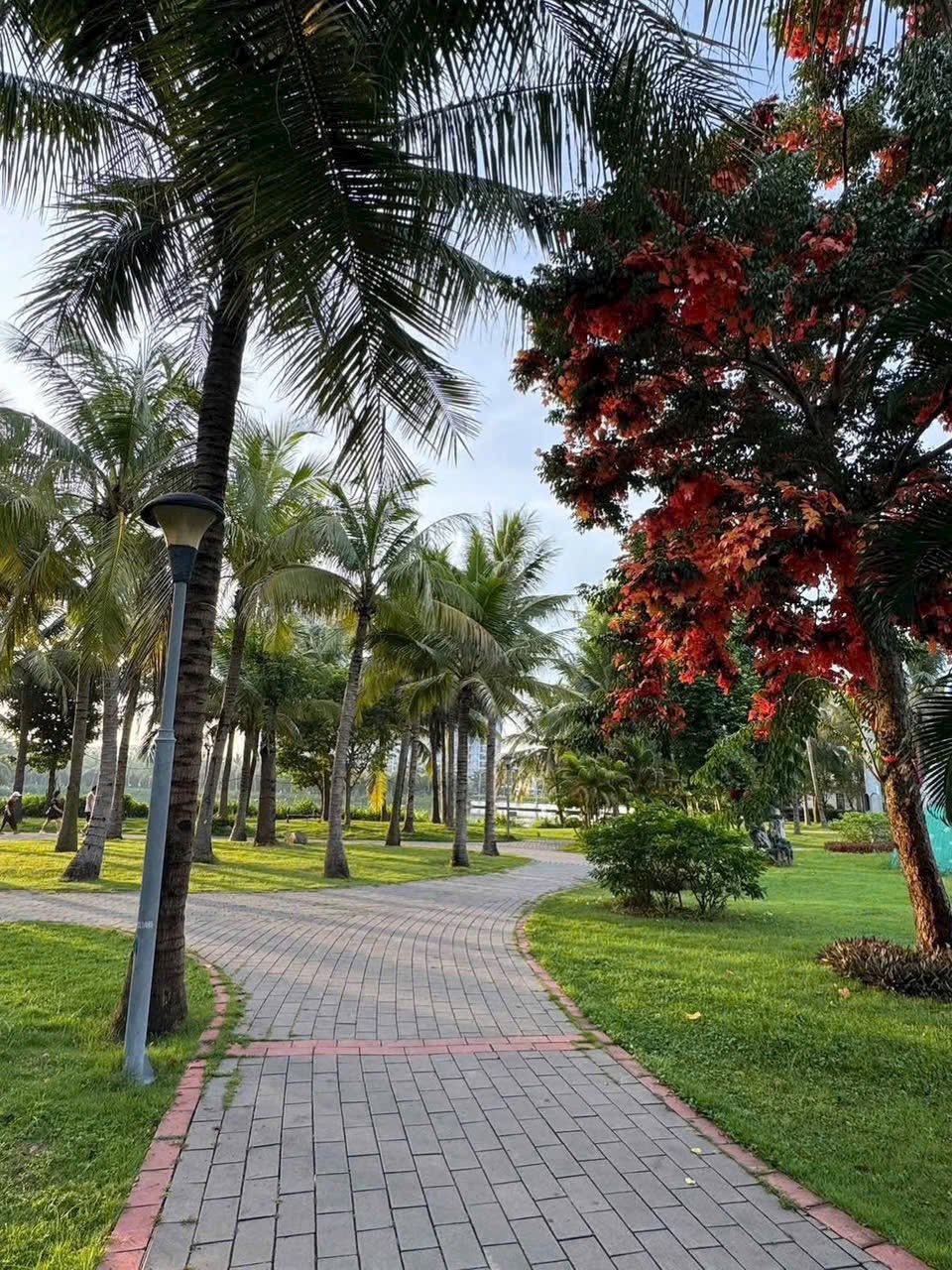 Bán nhà 4 tầng mặt đường đôi 22m Ecopark, ph Hải Tân, TP HD, 95m2, mt 5m, full nội thất 16020841