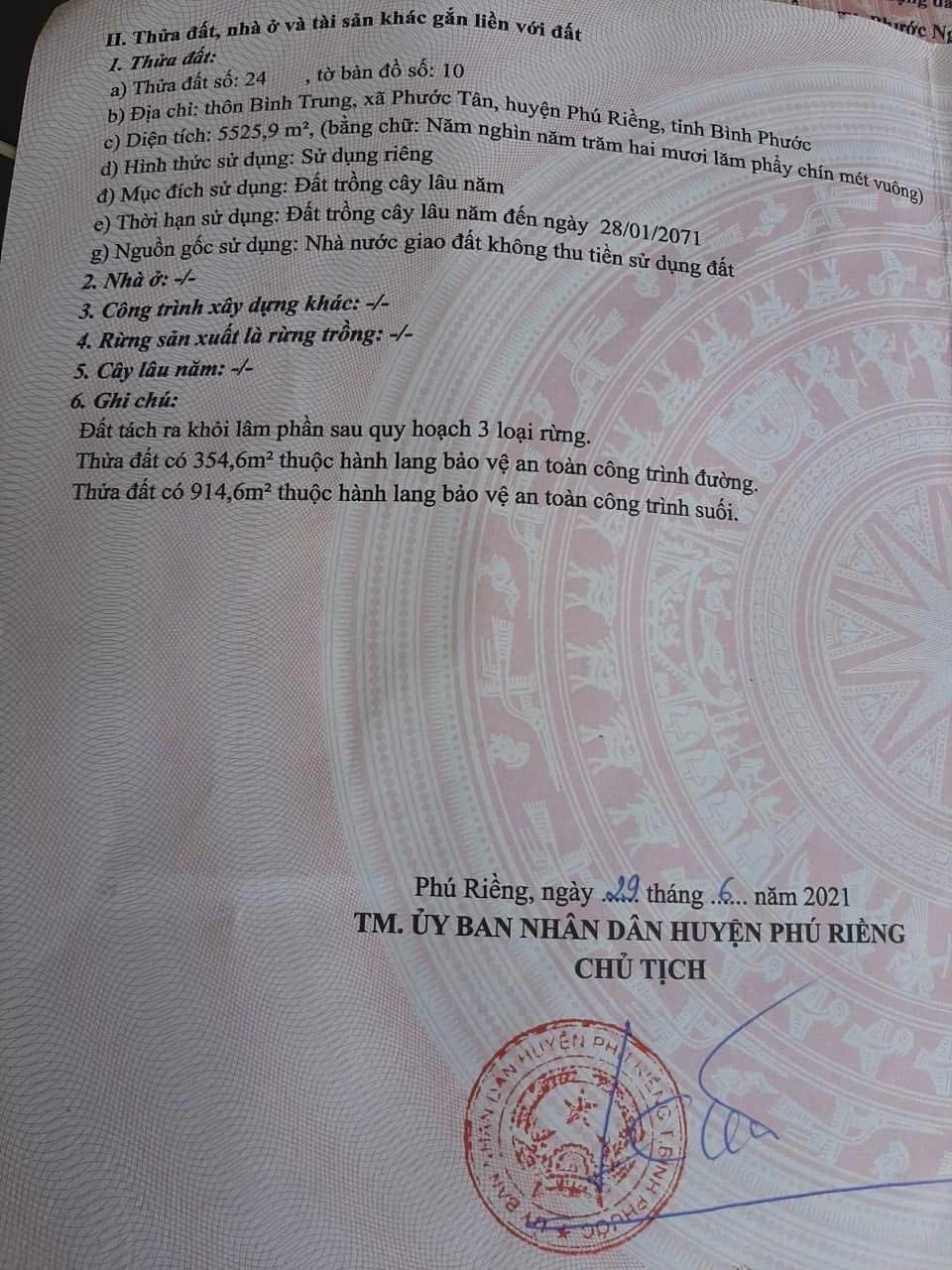 ĐẦU TƯ SINH LỜI - CHÍNH CHỦ CẦN BÁN ĐẤT TẠI Xã Phước Tân, Huyện Phú Riềng, Tỉnh Bình Phước 16020987