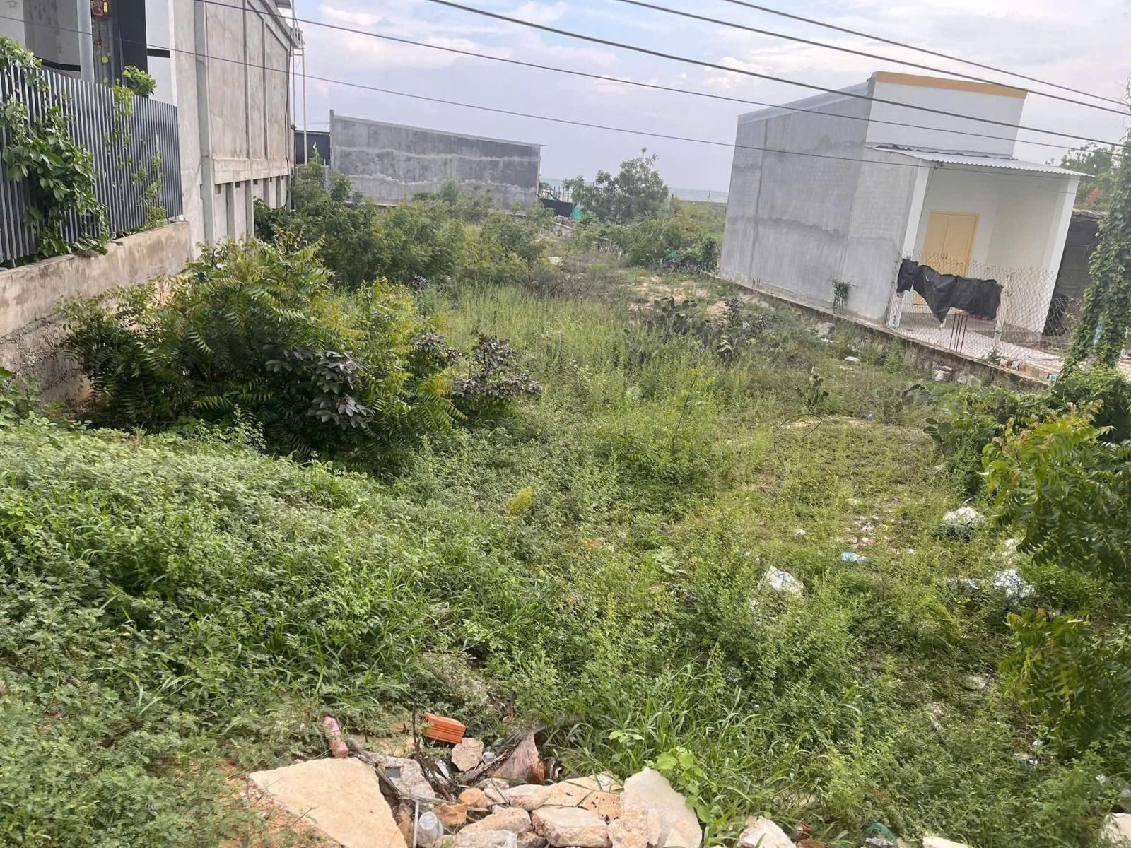 ĐẤT ĐẸP - GIÁ TỐT CHÍNH CHỦ BÁN NHANH LÔ ĐẤT 600m² – PHÚ THỌ, ĐÔNG HẢI (cũ) 16021060
