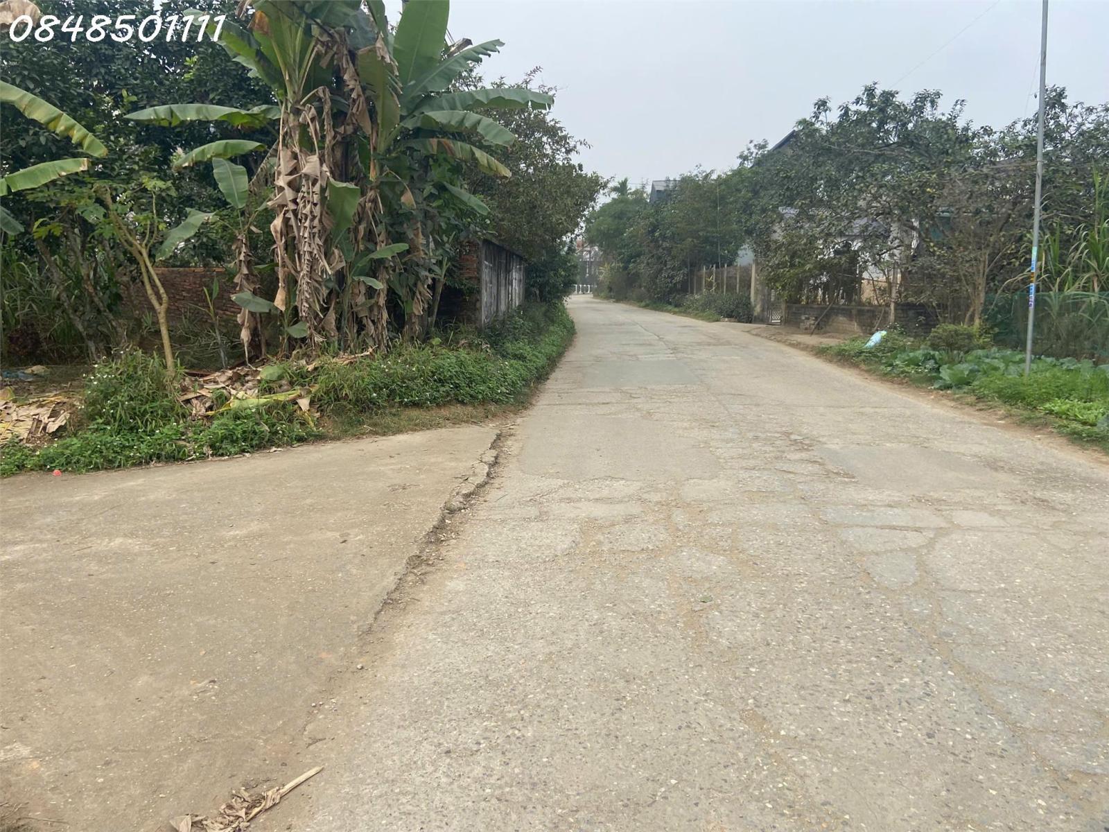 Em lên cho anh/chị quý nhà đầu tư nhà vườn tại xã Bằng Luân - Đoan Hùng - Phú Thọ 16021243