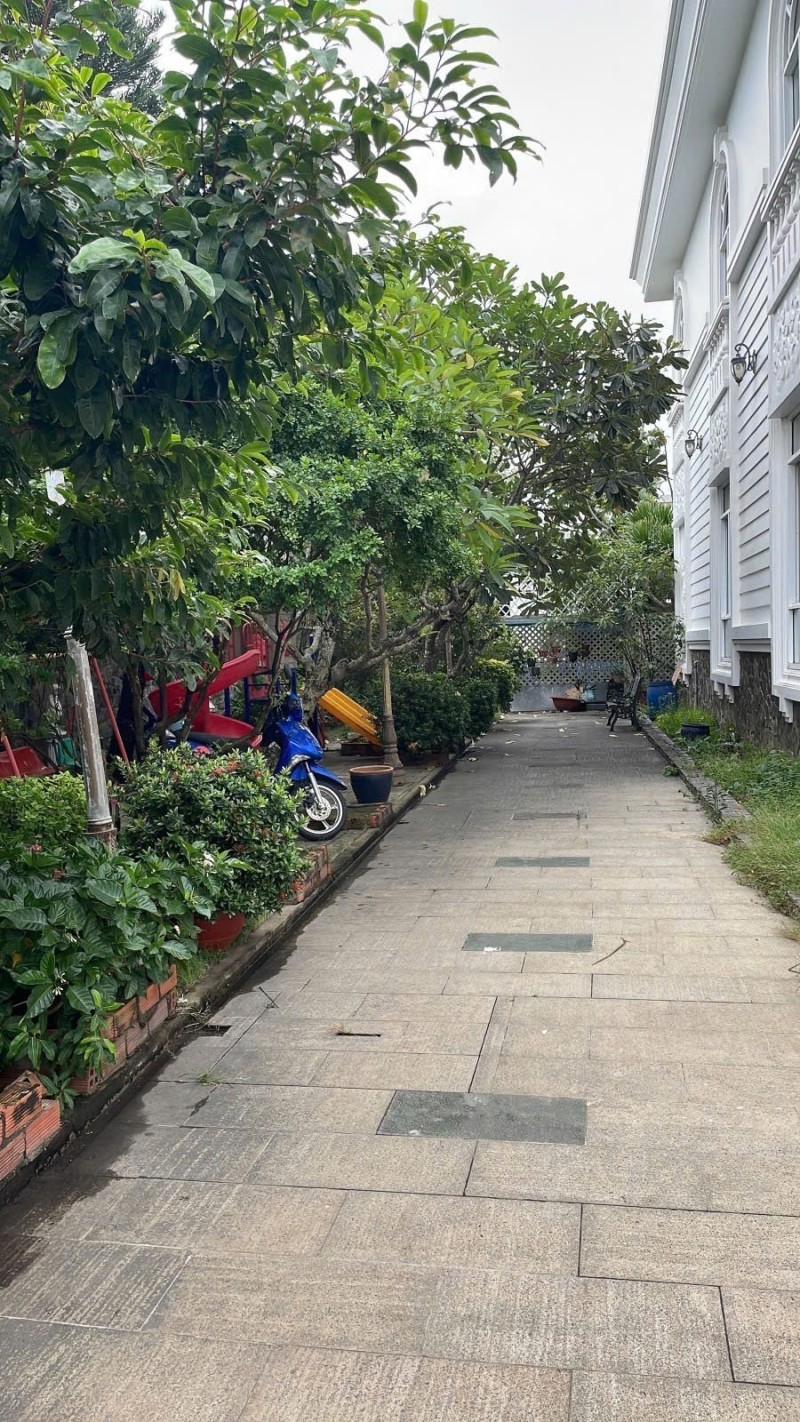 Bán nhà Mặt Tiền Đoàn Nguyên Tuấn - gần QL1A, 7000m2, có 4000m2 thổ, hạ còn 140 Tỷ. 16021362