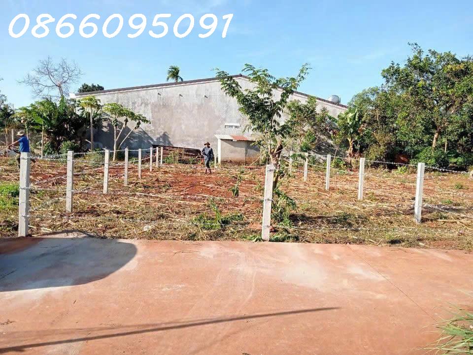 Bán đất tại đường Lò Rèn, Long Hòa, 915m2, giá tốt chỉ 6tr/m2, view đẹp 16021366