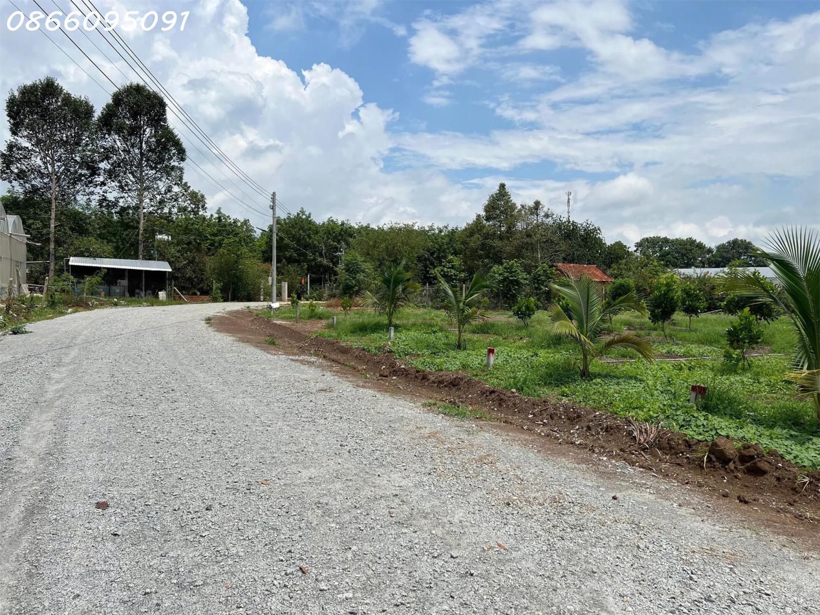 Bán đất tại đường Lò Rèn, Long Hòa, 915m2, giá tốt chỉ 6tr/m2, view đẹp 16021366