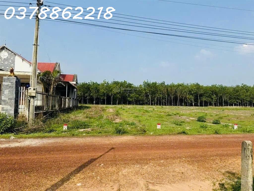 Bán gấp lô đất đường Lò Rèn, xã Long Hòa, Dầu Tiếng, 9200m2, giá 4,2tr/m2 16021459
