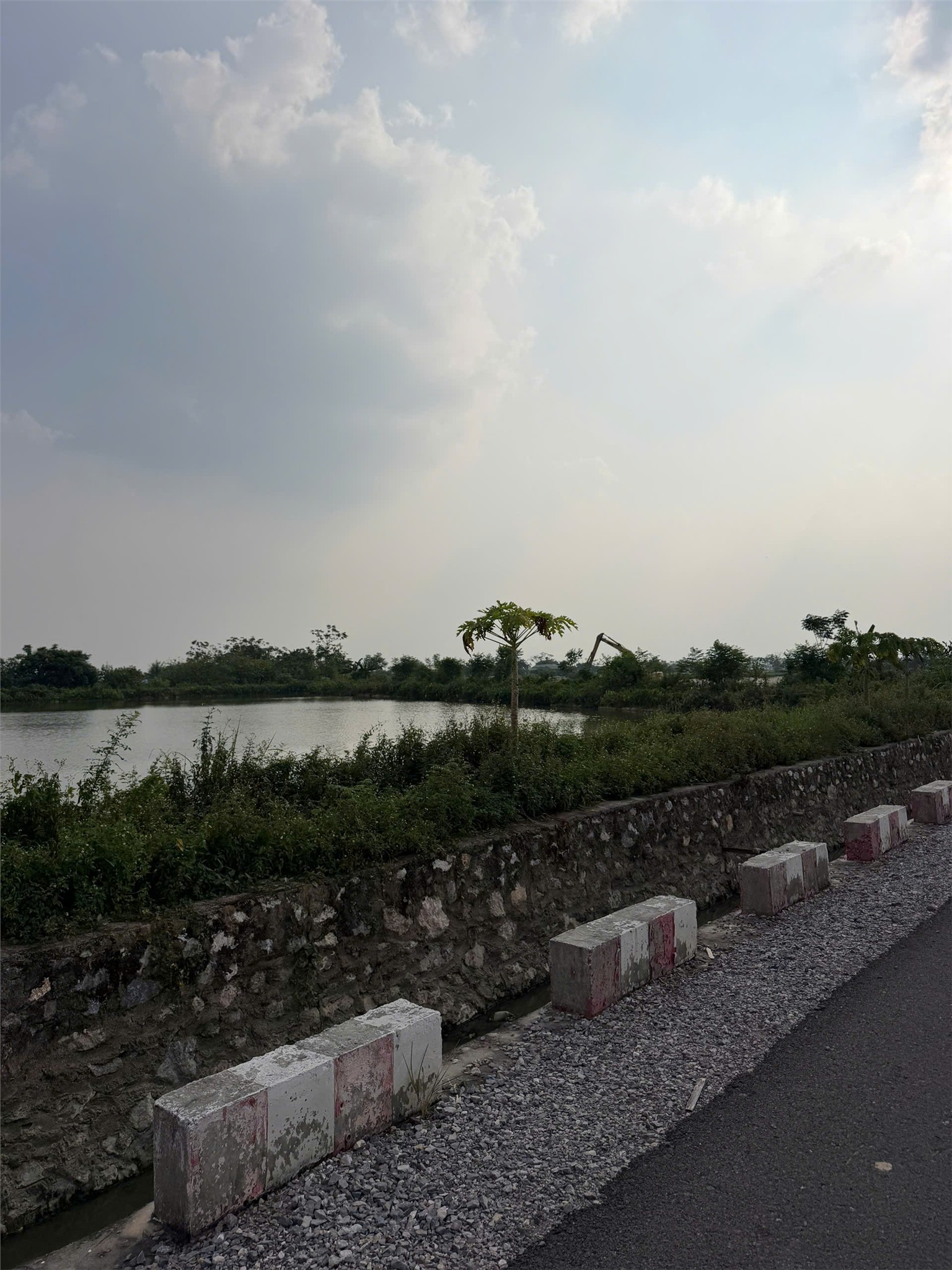 CHỦ CẦN TIỀN BÁN GẤP LÔ ĐẤT Tại Xã Chuyên Mỹ, Huyện Phú Xuyên, Tp Hà Nội 16021462